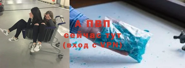 СК Краснослободск
