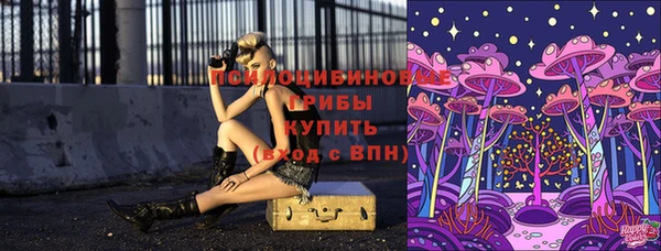 шишки Алексин