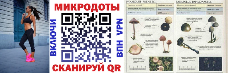 Псилоцибиновые грибы Cubensis  Арамиль 