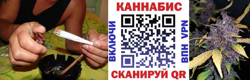 где продают   Арамиль  omg вход  Шишки марихуана SATIVA & INDICA 